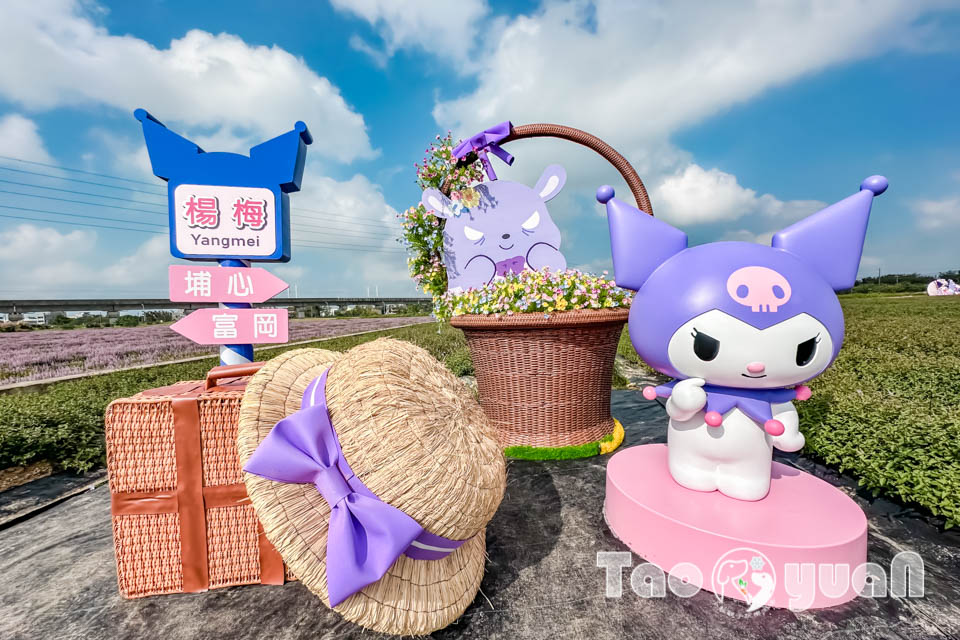 IMG_4795 桃園楊梅景點〡2025桃園仙草嘉年華〡仙草花浪漫席捲, 酷洛米可愛爆擊, 紫色炫風來襲, 季節限定美景, 高鐵同框超加分, 親子賞花推薦