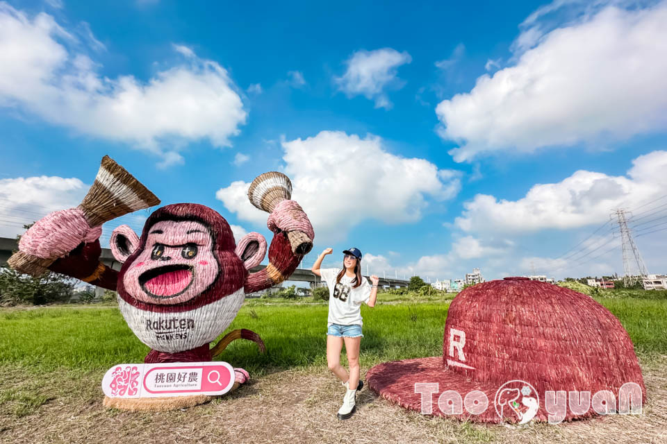 IMG_4862 桃園楊梅景點〡2025桃園仙草嘉年華〡仙草花浪漫席捲, 酷洛米可愛爆擊, 紫色炫風來襲, 季節限定美景, 高鐵同框超加分, 親子賞花推薦