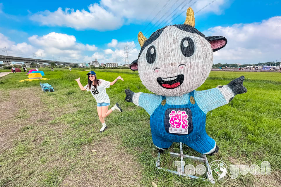 IMG_4896 桃園楊梅景點〡2025桃園仙草嘉年華〡仙草花浪漫席捲, 酷洛米可愛爆擊, 紫色炫風來襲, 季節限定美景, 高鐵同框超加分, 親子賞花推薦