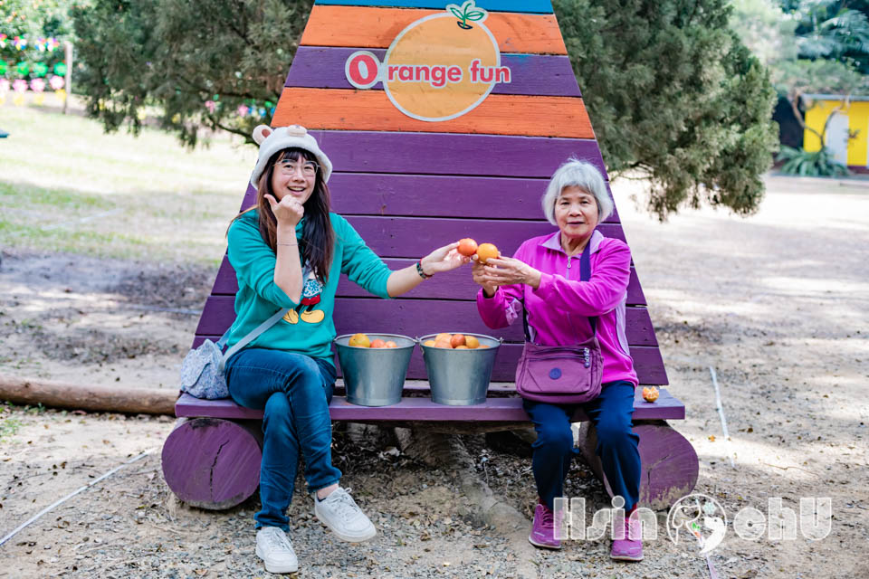 新竹寶山景點〡桔滿緣寶山農場〡一百元橘子吃到飽, 季節限定採橘樂, 緩坡果園拍照超美, 親子採果體驗推薦, 大吉大利緣緣滿滿