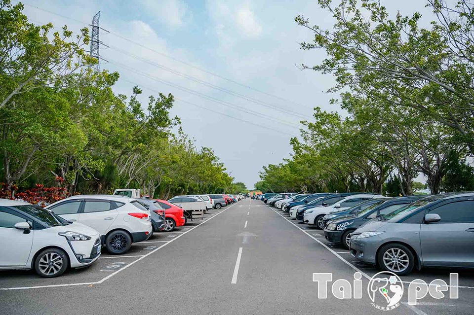 台北北投景點〡關渡恐龍樂園〡關渡探險樂園之恐龍大復活, 2026不龍錯過的冒險, 70隻恐龍擬真上線,化身訓龍師帥一波, 體驗餵恐龍的震撼教育, 4項恐龍互動體驗