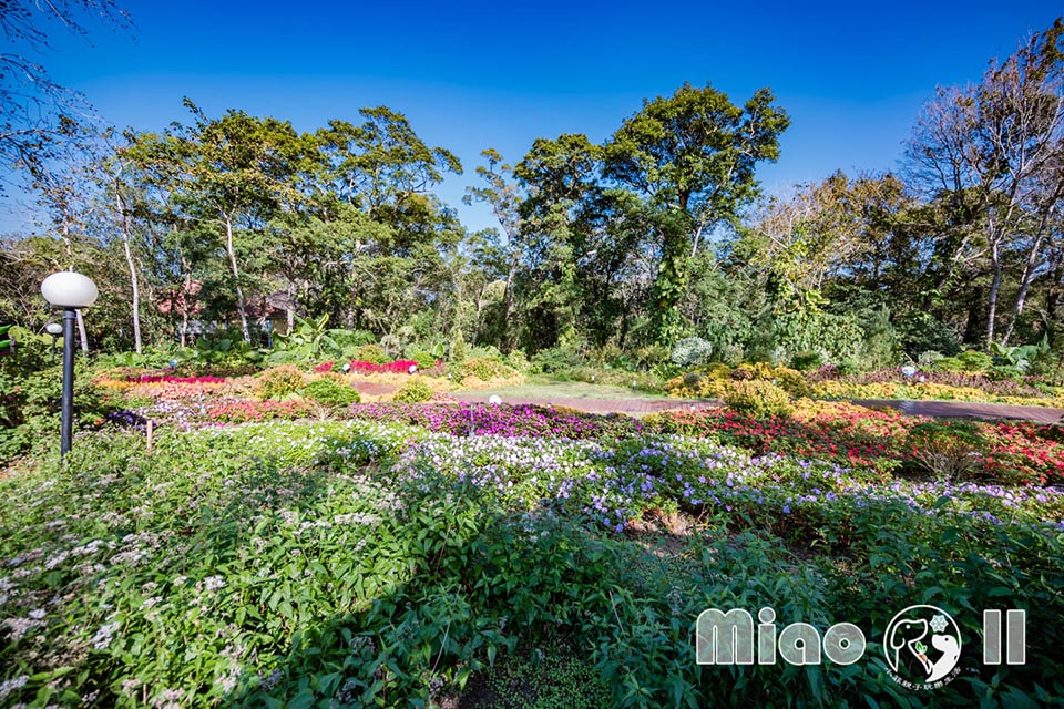 苗栗三義景點〡西湖渡假村〡浪漫的凡爾賽花園, 侏儸紀恐龍世界冒險, 十二生肖雕塑花園, 泡泡歡樂世界, 親子探索樂趣多