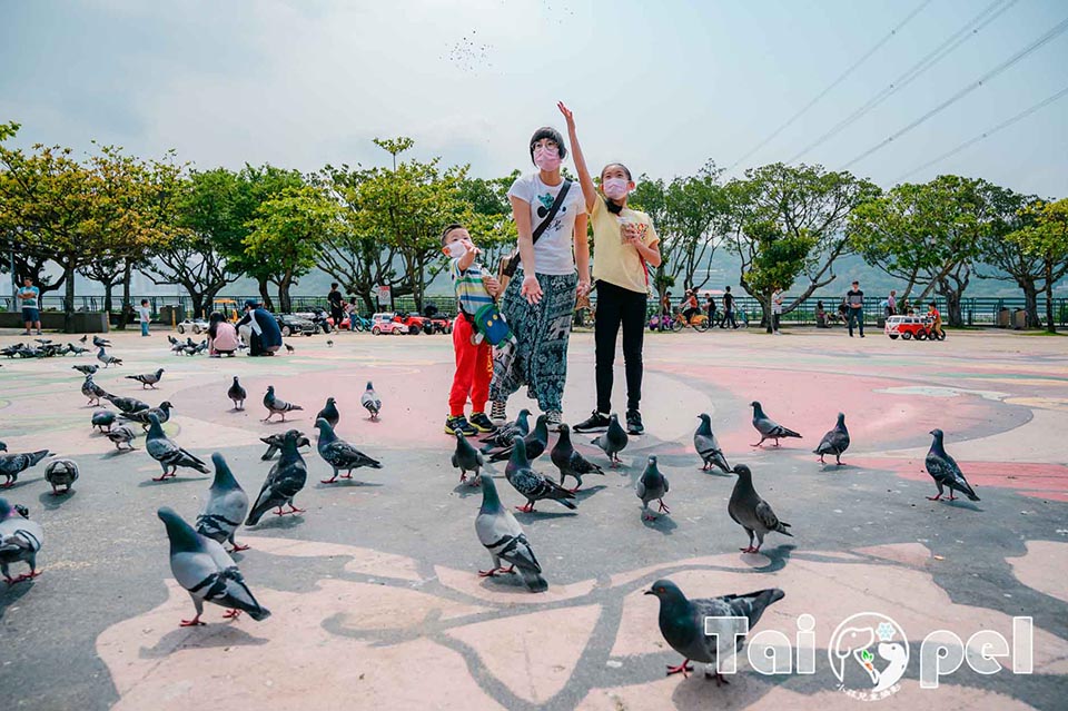 台北北投景點〡關渡宮〡北部知名百年廟宇, 300年以上信仰中心, 必訪財神洞古佛洞, 靈山公園賞夕陽, 順遊關渡碼頭