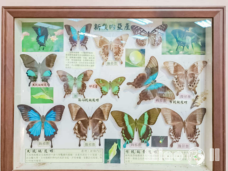 苗栗三義景點〡西湖渡假村〡浪漫的凡爾賽花園, 侏儸紀恐龍世界冒險, 十二生肖雕塑花園, 泡泡歡樂世界, 親子探索樂趣多