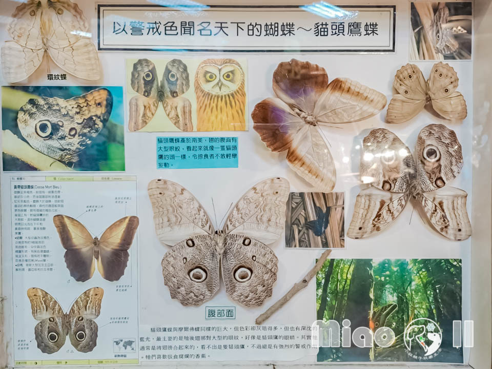 苗栗三義景點〡西湖渡假村〡浪漫的凡爾賽花園, 侏儸紀恐龍世界冒險, 十二生肖雕塑花園, 泡泡歡樂世界, 親子探索樂趣多