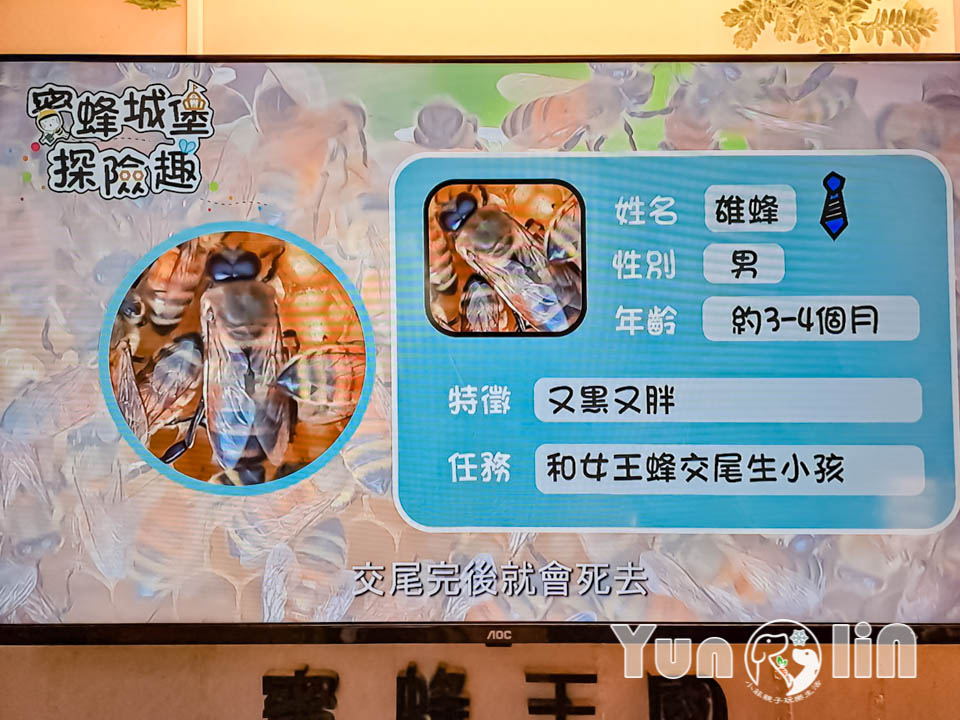 145065_0 雲林古坑景點〡蜜蜂故事館〡玻璃蜂箱蜜蜂無所遁形, 不用全裝即可近距離觀察, 蜂巢霜淇淋甜蜜好滋味, 免門票親子順遊景點, 古坑綠色隧道旁