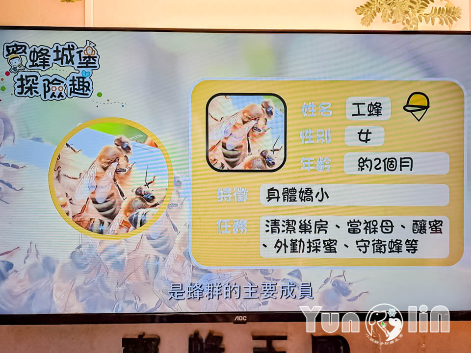145066_0 雲林古坑景點〡蜜蜂故事館〡玻璃蜂箱蜜蜂無所遁形, 不用全裝即可近距離觀察, 蜂巢霜淇淋甜蜜好滋味, 免門票親子順遊景點, 古坑綠色隧道旁