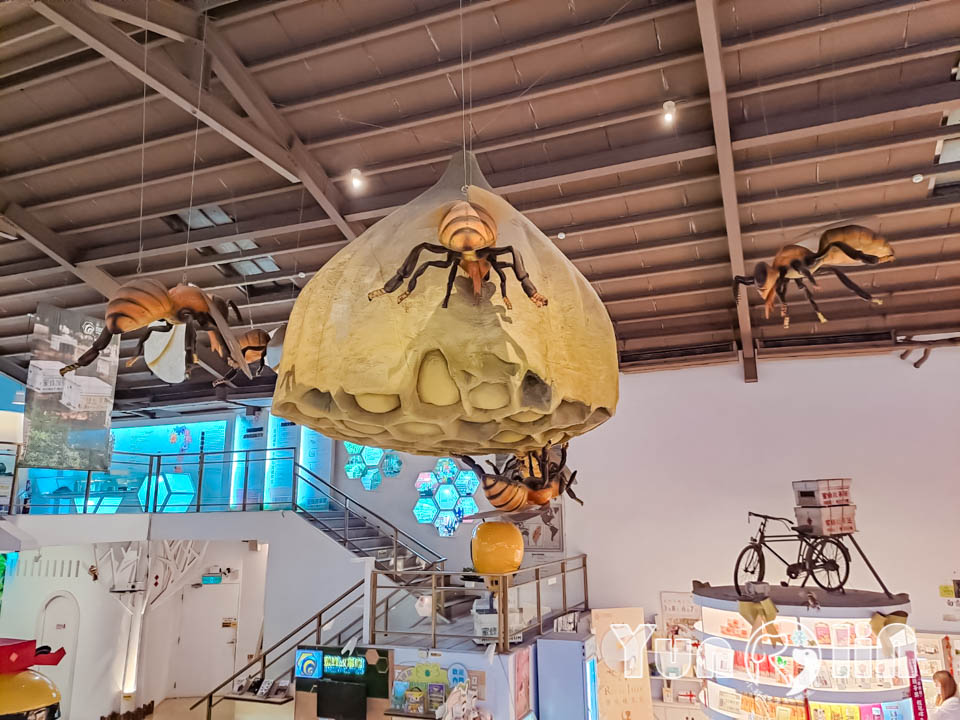 145071 雲林古坑景點〡蜜蜂故事館〡玻璃蜂箱蜜蜂無所遁形, 不用全裝即可近距離觀察, 蜂巢霜淇淋甜蜜好滋味, 免門票親子順遊景點, 古坑綠色隧道旁