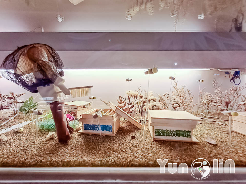 145072 雲林古坑景點〡蜜蜂故事館〡玻璃蜂箱蜜蜂無所遁形, 不用全裝即可近距離觀察, 蜂巢霜淇淋甜蜜好滋味, 免門票親子順遊景點, 古坑綠色隧道旁