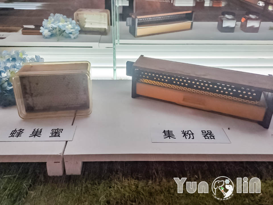 145078_0 雲林古坑景點〡蜜蜂故事館〡玻璃蜂箱蜜蜂無所遁形, 不用全裝即可近距離觀察, 蜂巢霜淇淋甜蜜好滋味, 免門票親子順遊景點, 古坑綠色隧道旁