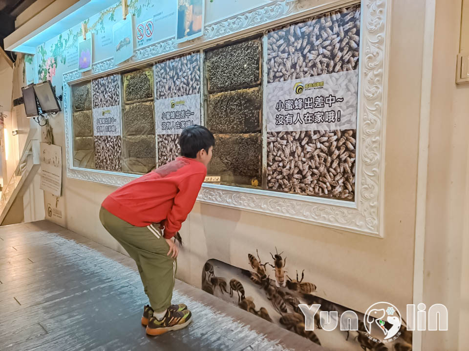 145086_0 雲林古坑景點〡蜜蜂故事館〡玻璃蜂箱蜜蜂無所遁形, 不用全裝即可近距離觀察, 蜂巢霜淇淋甜蜜好滋味, 免門票親子順遊景點, 古坑綠色隧道旁