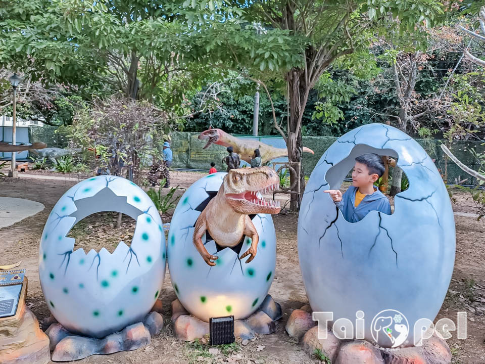 146102_0 台北北投景點〡關渡恐龍樂園〡關渡探險樂園之恐龍大復活, 2026不龍錯過的冒險, 70隻恐龍擬真上線,化身訓龍師帥一波, 體驗餵恐龍的震撼教育, 4項恐龍互動體驗