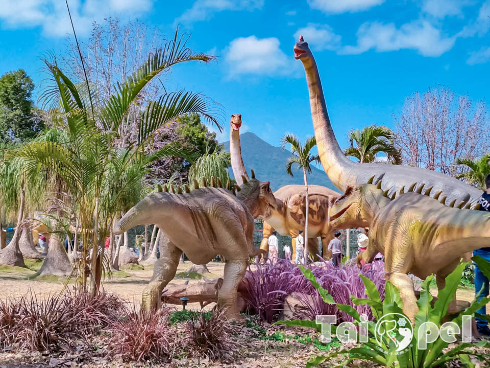 146103_0 台北北投景點〡關渡恐龍樂園〡關渡探險樂園之恐龍大復活, 2026不龍錯過的冒險, 70隻恐龍擬真上線,化身訓龍師帥一波, 體驗餵恐龍的震撼教育, 4項恐龍互動體驗