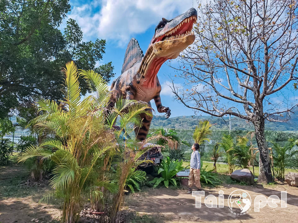 146106_0 台北北投景點〡關渡恐龍樂園〡關渡探險樂園之恐龍大復活, 2026不龍錯過的冒險, 70隻恐龍擬真上線,化身訓龍師帥一波, 體驗餵恐龍的震撼教育, 4項恐龍互動體驗