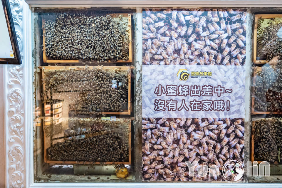 DSC_3040 雲林古坑景點〡蜜蜂故事館〡玻璃蜂箱蜜蜂無所遁形, 不用全裝即可近距離觀察, 蜂巢霜淇淋甜蜜好滋味, 免門票親子順遊景點, 古坑綠色隧道旁