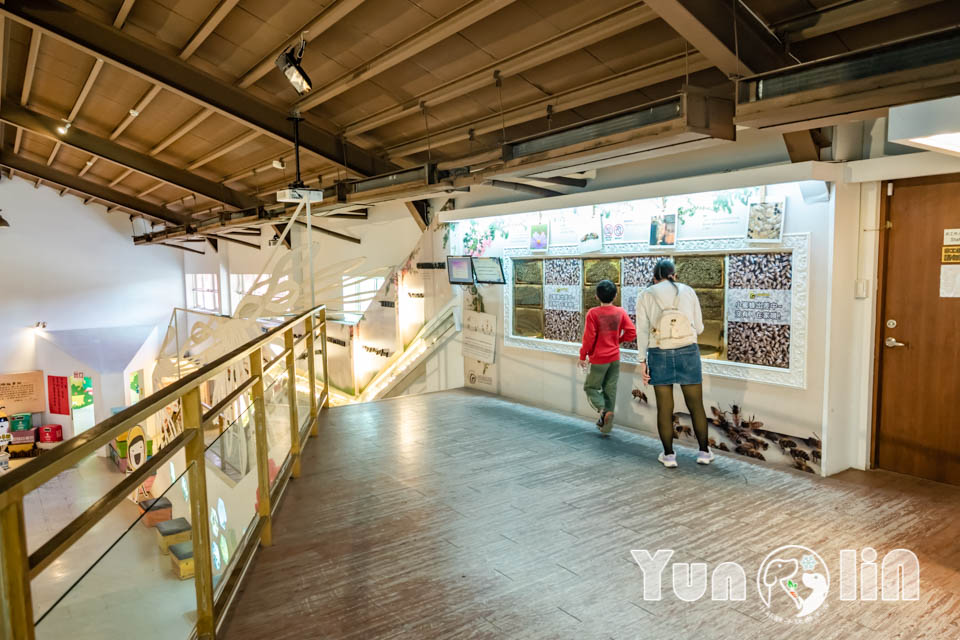 DSC_3046 雲林古坑景點〡蜜蜂故事館〡玻璃蜂箱蜜蜂無所遁形, 不用全裝即可近距離觀察, 蜂巢霜淇淋甜蜜好滋味, 免門票親子順遊景點, 古坑綠色隧道旁