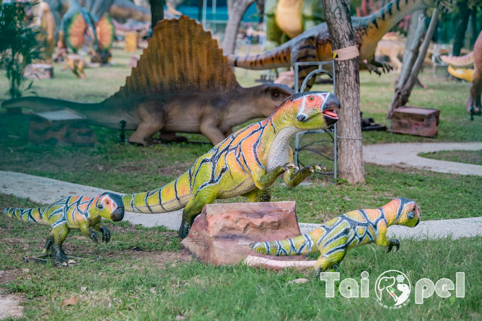 台北北投景點〡關渡恐龍樂園〡關渡探險樂園之恐龍大復活, 2026不龍錯過的冒險, 70隻恐龍擬真上線,化身訓龍師帥一波, 體驗餵恐龍的震撼教育, 4項恐龍互動體驗