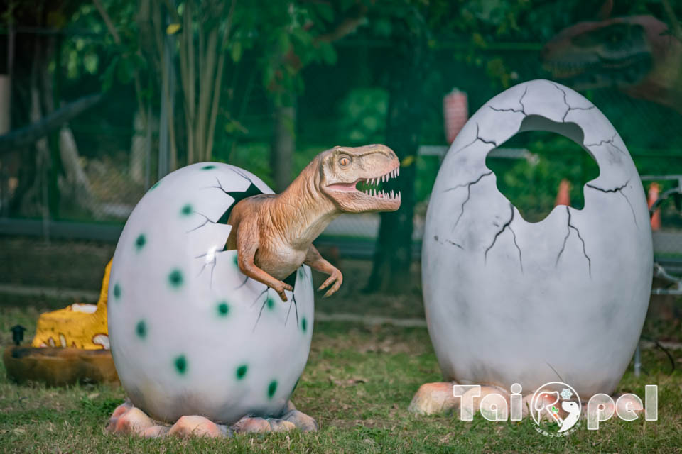 台北北投景點〡關渡恐龍樂園〡關渡探險樂園之恐龍大復活, 2026不龍錯過的冒險, 70隻恐龍擬真上線,化身訓龍師帥一波, 體驗餵恐龍的震撼教育, 4項恐龍互動體驗