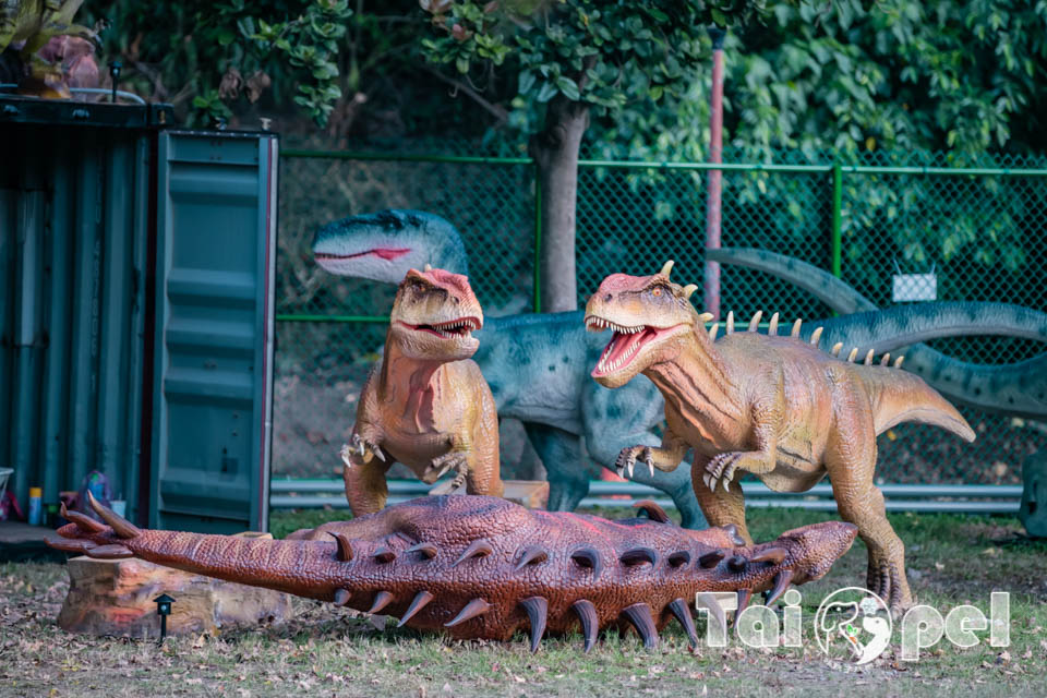 台北北投景點〡關渡恐龍樂園〡關渡探險樂園之恐龍大復活, 2026不龍錯過的冒險, 70隻恐龍擬真上線,化身訓龍師帥一波, 體驗餵恐龍的震撼教育, 4項恐龍互動體驗