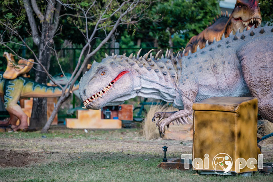 台北北投景點〡關渡恐龍樂園〡關渡探險樂園之恐龍大復活, 2026不龍錯過的冒險, 70隻恐龍擬真上線,化身訓龍師帥一波, 體驗餵恐龍的震撼教育, 4項恐龍互動體驗