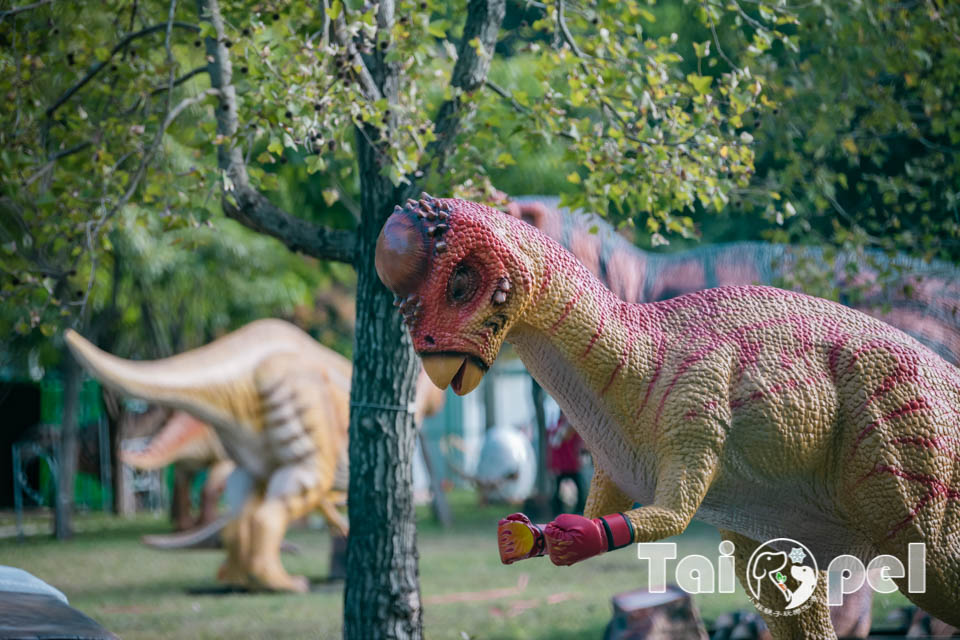 台北北投景點〡關渡恐龍樂園〡關渡探險樂園之恐龍大復活, 2026不龍錯過的冒險, 70隻恐龍擬真上線,化身訓龍師帥一波, 體驗餵恐龍的震撼教育, 4項恐龍互動體驗