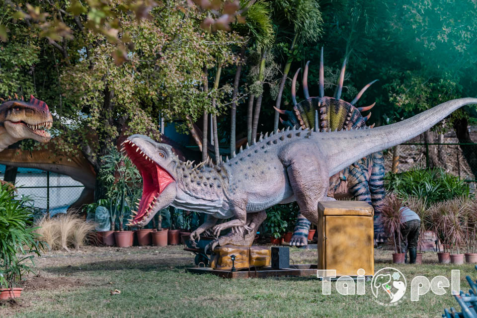台北北投景點〡關渡恐龍樂園〡關渡探險樂園之恐龍大復活, 2026不龍錯過的冒險, 70隻恐龍擬真上線,化身訓龍師帥一波, 體驗餵恐龍的震撼教育, 4項恐龍互動體驗