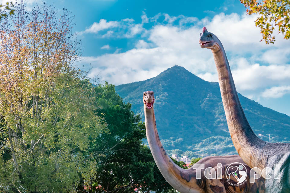 台北北投景點〡關渡恐龍樂園〡關渡探險樂園之恐龍大復活, 2026不龍錯過的冒險, 70隻恐龍擬真上線,化身訓龍師帥一波, 體驗餵恐龍的震撼教育, 4項恐龍互動體驗