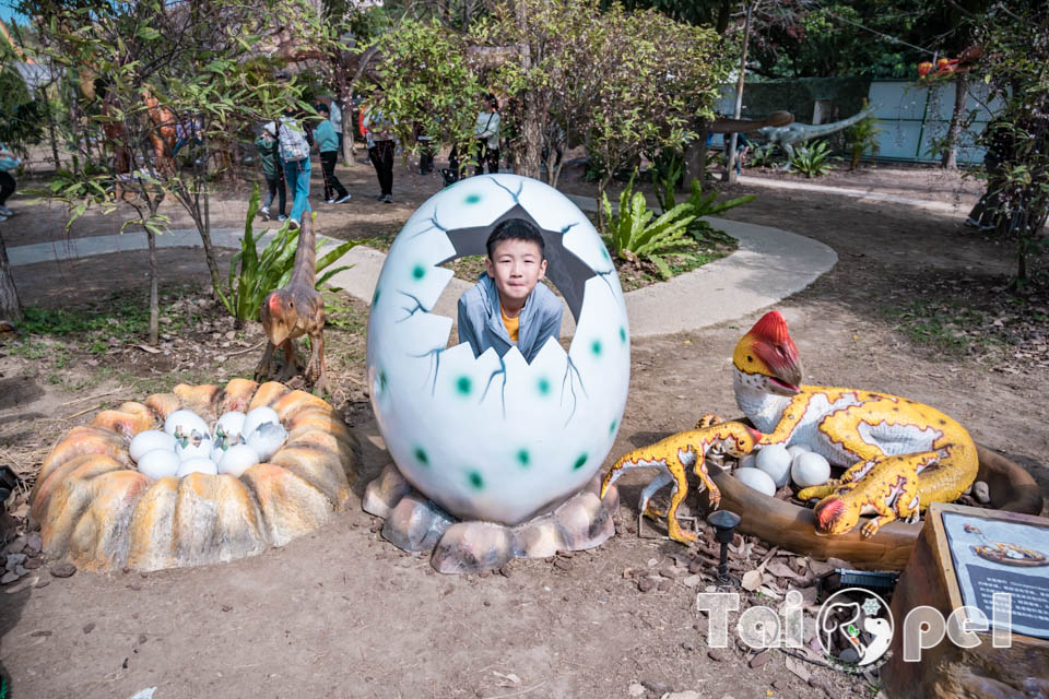 DSC_5383 台北北投景點〡關渡恐龍樂園〡關渡探險樂園之恐龍大復活, 2026不龍錯過的冒險, 70隻恐龍擬真上線,化身訓龍師帥一波, 體驗餵恐龍的震撼教育, 4項恐龍互動體驗
