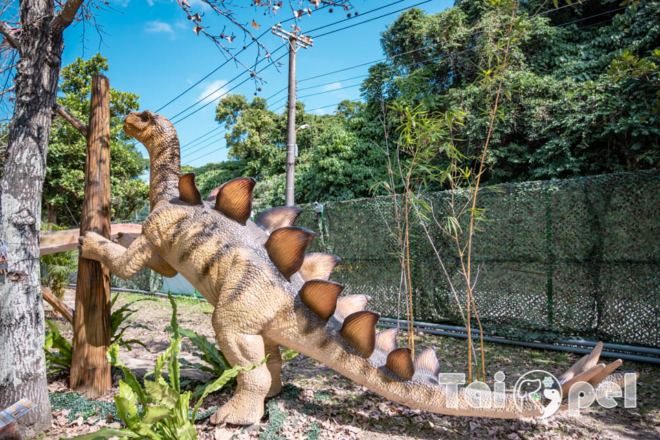 DSC_5396 台北北投景點〡關渡恐龍樂園〡關渡探險樂園之恐龍大復活, 2026不龍錯過的冒險, 70隻恐龍擬真上線,化身訓龍師帥一波, 體驗餵恐龍的震撼教育, 4項恐龍互動體驗