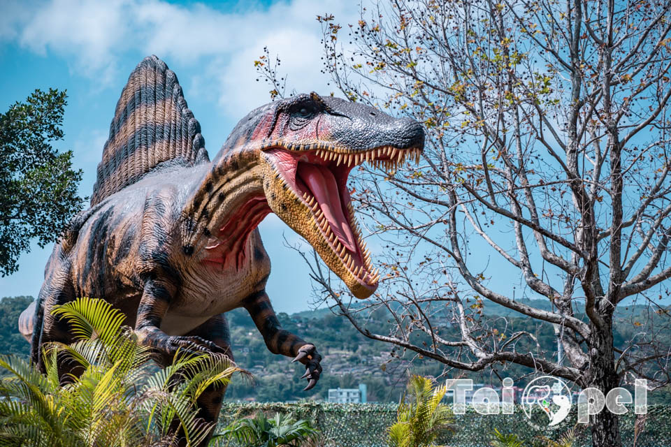 DSC_5410 台北北投景點〡關渡恐龍樂園〡關渡探險樂園之恐龍大復活, 2026不龍錯過的冒險, 70隻恐龍擬真上線,化身訓龍師帥一波, 體驗餵恐龍的震撼教育, 4項恐龍互動體驗