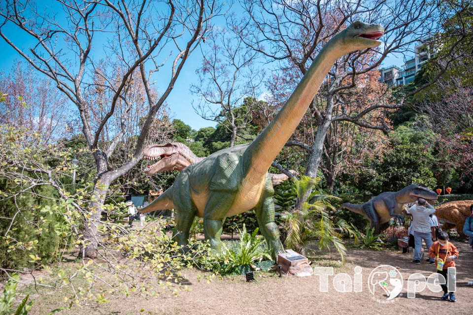 DSC_5437 台北北投景點〡關渡恐龍樂園〡關渡探險樂園之恐龍大復活, 2026不龍錯過的冒險, 70隻恐龍擬真上線,化身訓龍師帥一波, 體驗餵恐龍的震撼教育, 4項恐龍互動體驗