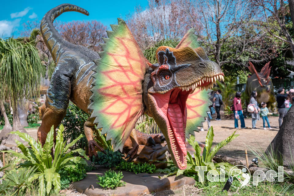 DSC_5448 台北北投景點〡關渡恐龍樂園〡關渡探險樂園之恐龍大復活, 2026不龍錯過的冒險, 70隻恐龍擬真上線,化身訓龍師帥一波, 體驗餵恐龍的震撼教育, 4項恐龍互動體驗