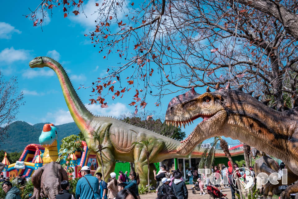 DSC_5500 台北北投景點〡關渡恐龍樂園〡關渡探險樂園之恐龍大復活, 2026不龍錯過的冒險, 70隻恐龍擬真上線,化身訓龍師帥一波, 體驗餵恐龍的震撼教育, 4項恐龍互動體驗