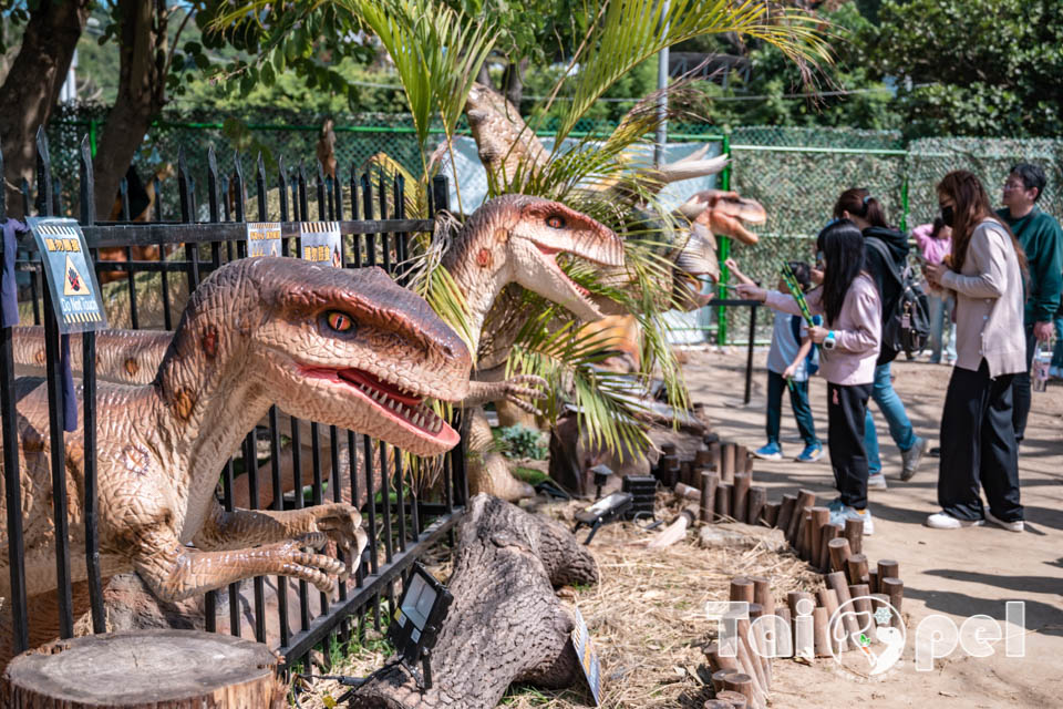 DSC_5517 台北北投景點〡關渡恐龍樂園〡關渡探險樂園之恐龍大復活, 2026不龍錯過的冒險, 70隻恐龍擬真上線,化身訓龍師帥一波, 體驗餵恐龍的震撼教育, 4項恐龍互動體驗