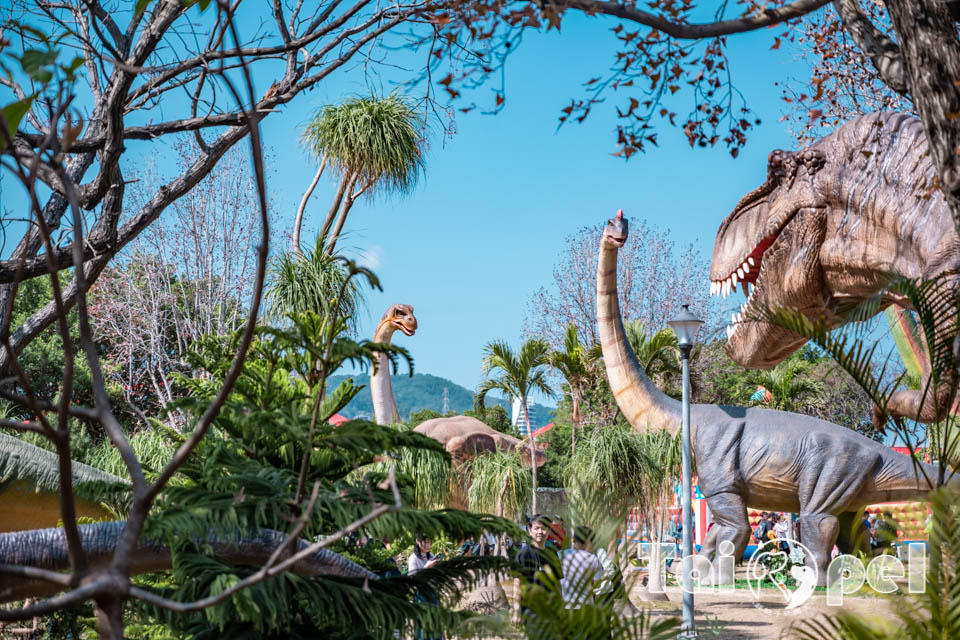 DSC_5532 台北北投景點〡關渡恐龍樂園〡關渡探險樂園之恐龍大復活, 2026不龍錯過的冒險, 70隻恐龍擬真上線,化身訓龍師帥一波, 體驗餵恐龍的震撼教育, 4項恐龍互動體驗