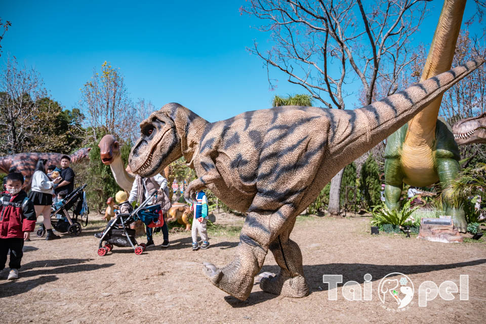 DSC_5582 台北北投景點〡關渡恐龍樂園〡關渡探險樂園之恐龍大復活, 2026不龍錯過的冒險, 70隻恐龍擬真上線,化身訓龍師帥一波, 體驗餵恐龍的震撼教育, 4項恐龍互動體驗