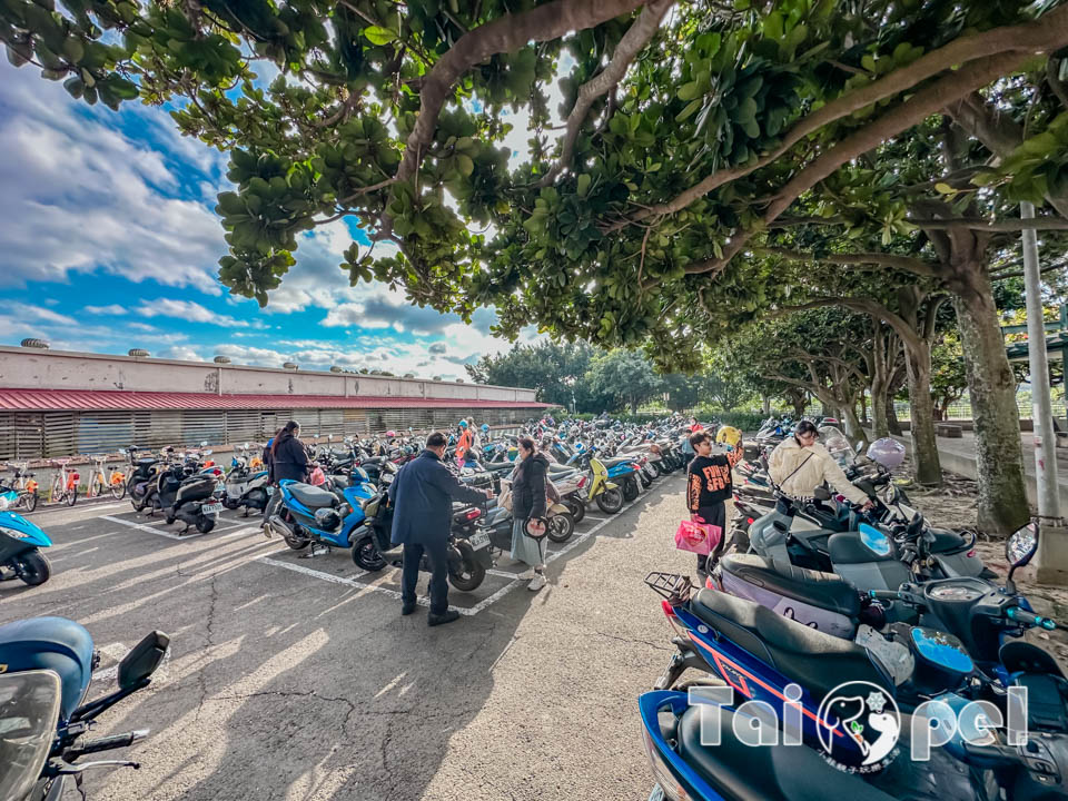 台北北投景點〡關渡恐龍樂園〡關渡探險樂園之恐龍大復活, 2026不龍錯過的冒險, 70隻恐龍擬真上線,化身訓龍師帥一波, 體驗餵恐龍的震撼教育, 4項恐龍互動體驗