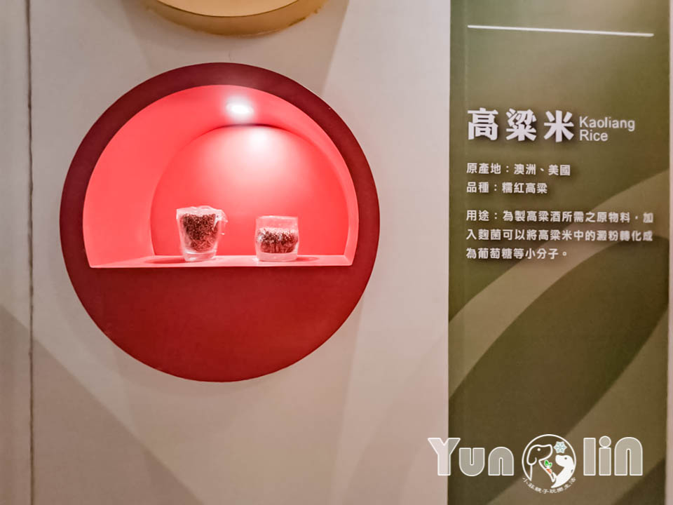 雲林古坑景點〡福祿壽觀光酒場〡品香走讀酒博物館, 欣賞奇裝異服造型酒瓶, 福祿壽酒吧免費試飲, 酒後不開車安全有保障