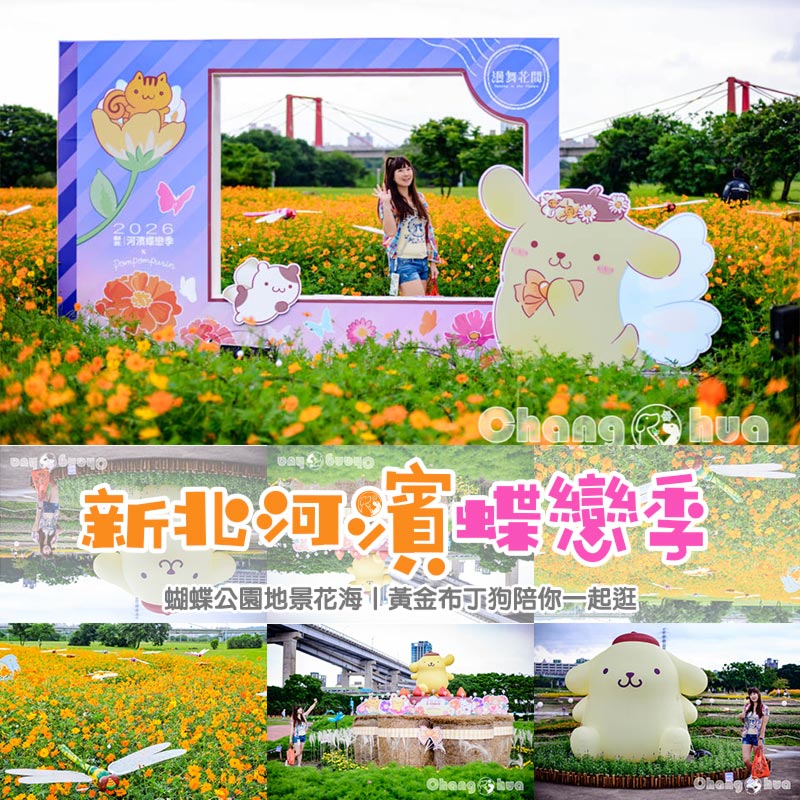 新北板橋景點〡新北河濱蝶戀季〡蝴蝶公園地景花海, 黃金布丁狗添好運, 漫舞花間尋找幸福, 期間限定可愛花田 @小菲親子玩樂生活