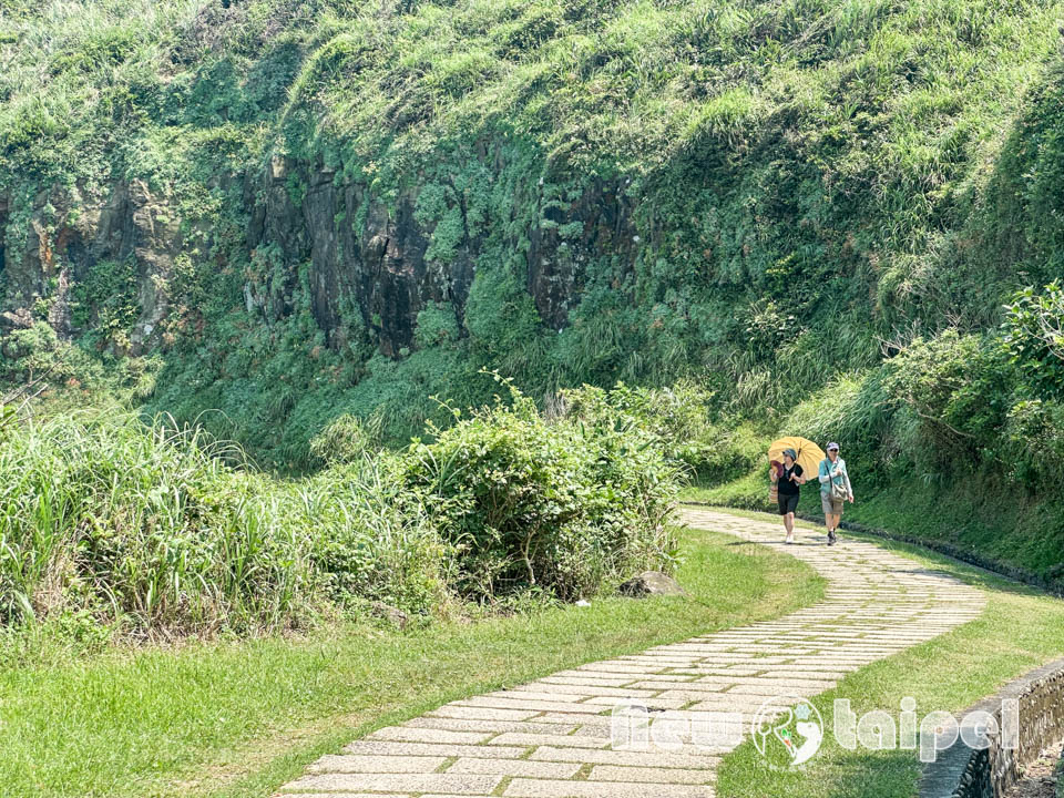 IMG_4234
