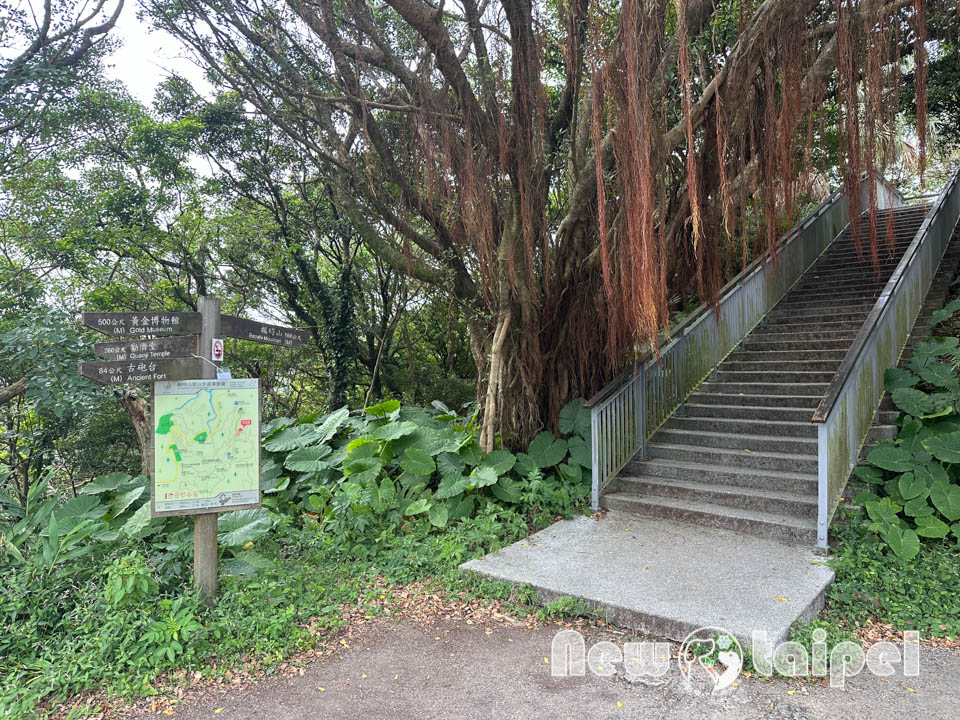 IMG_2262